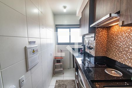 Cozinha de apartamento para alugar com 1 quarto, 30m² em Vila Dom Pedro I, São Paulo