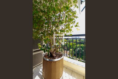 Apartamento à venda com 499m², 4 quartos e 4 vagas Apartamento à venda com 499m², 4 quartos e 4 vagasSuíte Principal