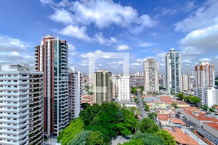 Apartamento à venda com 375m², 4 quartos e 4 vagasVista da Varanda da Copa