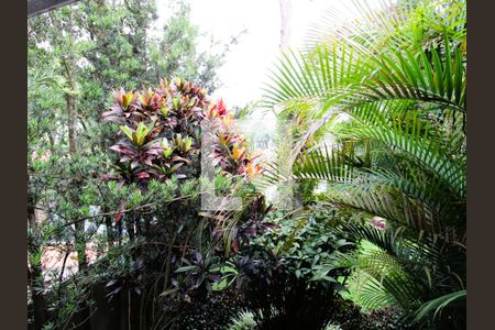 Casa à venda com 500m², 4 quartos e 6 vagasVista da Suíte 2