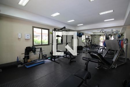 Apartamento à venda com 74m², 3 quartos e 1 vaga Apartamento à venda com 74m², 3 quartos e 1 vagaÁrea comum - Academia