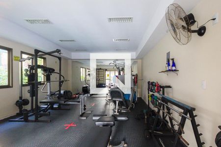 Apartamento à venda com 74m², 3 quartos e 1 vaga Apartamento à venda com 74m², 3 quartos e 1 vagaÁrea comum - Academia