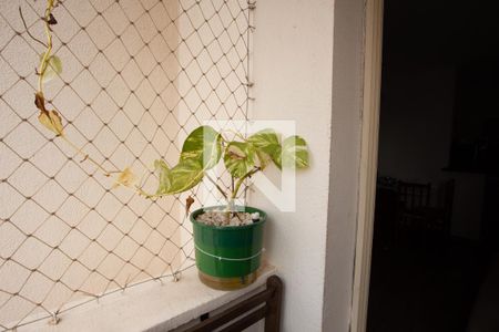 Varanda da Sala de apartamento à venda com 3 quartos, 60m² em Parque Mandaqui, São Paulo