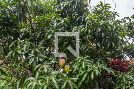 Casa de condomínio à venda com 849m², 4 quartos e 6 vagas Casa de condomínio à venda com 849m², 4 quartos e 6 vagasQuintal