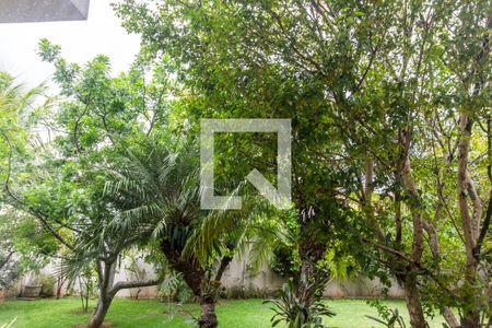 Casa de condomínio à venda com 849m², 4 quartos e 6 vagas Casa de condomínio à venda com 849m², 4 quartos e 6 vagasVista da Cozinha