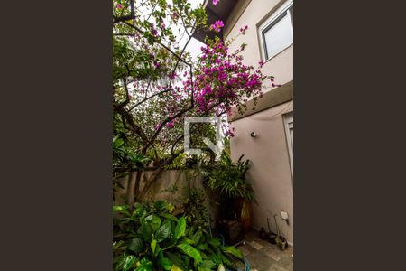 Casa de condomínio à venda com 849m², 4 quartos e 6 vagas Casa de condomínio à venda com 849m², 4 quartos e 6 vagasQuintal