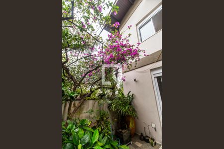 Casa de condomínio à venda com 849m², 4 quartos e 6 vagas Casa de condomínio à venda com 849m², 4 quartos e 6 vagasQuintal