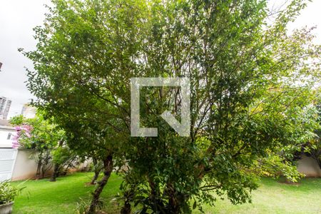 Casa de condomínio à venda com 849m², 4 quartos e 6 vagas Casa de condomínio à venda com 849m², 4 quartos e 6 vagasVista da Cozinha