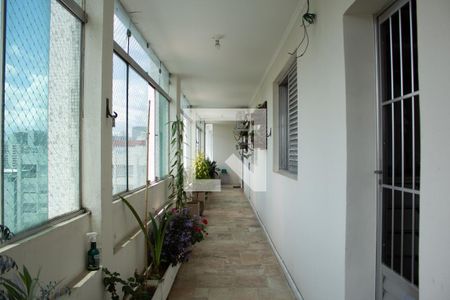 Apartamento para alugar com 500m², 5 quartos e 2 vagas Apartamento para alugar com 500m², 5 quartos e 2 vagasQuintal