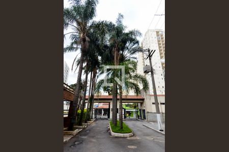 Apartamento para alugar com 67m², 3 quartos e 1 vagaEntrada Social 