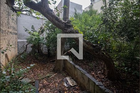 Casa à venda com 510m², 3 quartos e 3 vagasárea verde_2