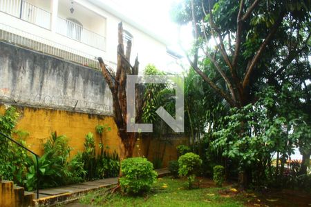 Apartamento para alugar com 37m², 1 quarto e 1 vagaÁrea comum - Verde