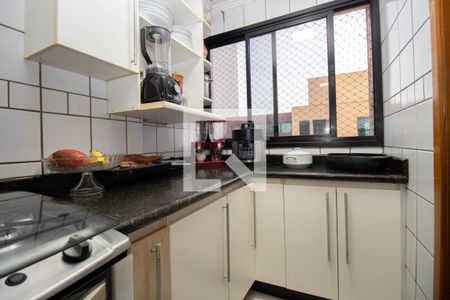 Apartamento para alugar com 263m², 3 quartos e 2 vagasCozinha