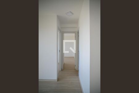 Corredor de apartamento para alugar com 2 quartos, 39m² em Parque Bristol, São Paulo