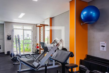 Apartamento para alugar com 52m², 2 quartos e 1 vaga Apartamento para alugar com 52m², 2 quartos e 1 vagaAcademia