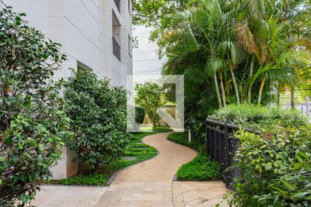 Apartamento para alugar com 52m², 2 quartos e 1 vaga Apartamento para alugar com 52m², 2 quartos e 1 vagaÁrea comum