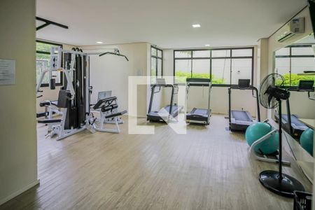 Apartamento à venda com 74m², 3 quartos e 1 vaga Apartamento à venda com 74m², 3 quartos e 1 vagaÁrea comum - Academia