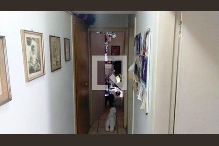 Apartamento à venda com 3 quartos, 82m² em Indianópolis, São Paulo