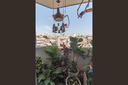 Sala - Varanda  de apartamento para alugar com 3 quartos, 73m² em Vila Ede, São Paulo