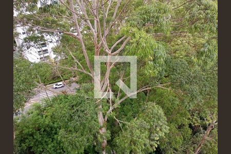 Apartamento à venda com 173m², 4 quartos e 3 vagas Apartamento à venda com 173m², 4 quartos e 3 vagasFoto 37