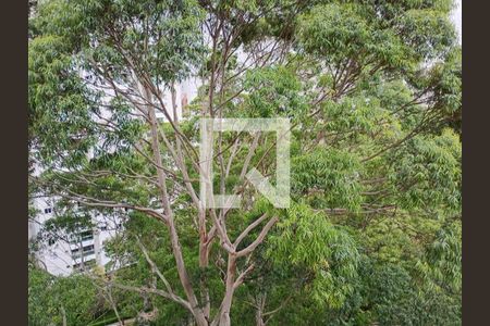 Apartamento à venda com 173m², 4 quartos e 3 vagas Apartamento à venda com 173m², 4 quartos e 3 vagasFoto 36