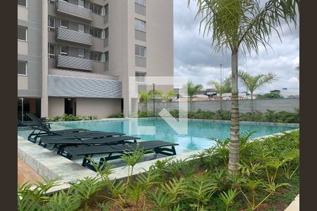 Piscina Adulta de apartamento à venda com 2 quartos, 52m² em Jardim Riacho das Pedras, Contagem