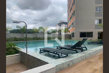 Piscina Adulta de apartamento à venda com 2 quartos, 52m² em Jardim Riacho das Pedras, Contagem