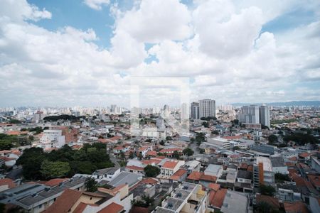 Sala/Cozinha de apartamento para alugar com 2 quartos, 36m² em Cidade Patriarca, São Paulo