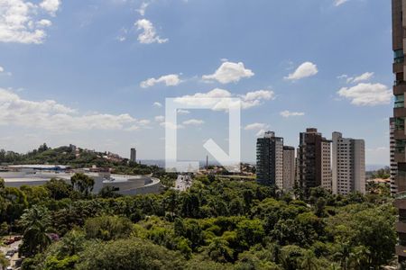 Vista da Sacada de apartamento para alugar com 4 quartos, 146m² em Belvedere, Belo Horizonte
