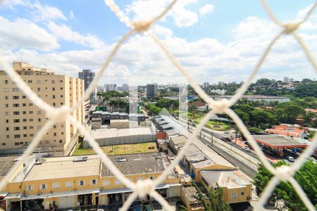 Vista da Suíte de apartamento para alugar com 3 quartos, 108m² em Vila Progredior, São Paulo