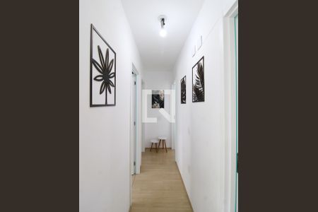 Corredor - Quartos de apartamento para alugar com 3 quartos, 60m² em Vila Guilherme, São Paulo