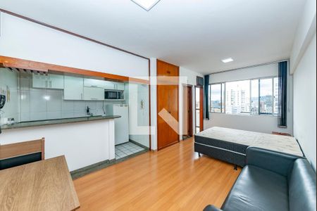 Sala de apartamento para alugar com 1 quarto, 46m² em Barro Preto, Belo Horizonte