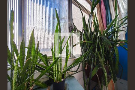 Apartamento à venda com 85m², 3 quartos e 1 vaga Apartamento à venda com 85m², 3 quartos e 1 vagaÁrea de Serviço