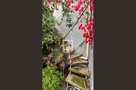 Casa à venda com 240m², 4 quartos e 1 vaga Casa à venda com 240m², 4 quartos e 1 vagaQuintal