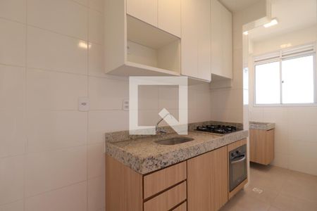 Cozinha de apartamento para alugar com 2 quartos, 48m² em Recreio das Acacias, Ribeirão Preto