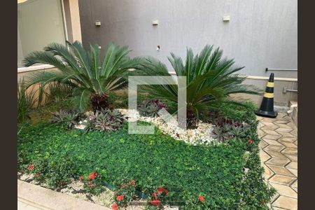 Apartamento à venda com 1 quarto, 51m² em Cambuí, Campinas