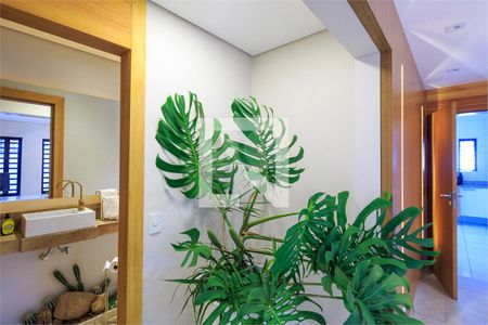 Casa à venda com 3 quartos, 256m² em Jardim Petropolis, São Paulo