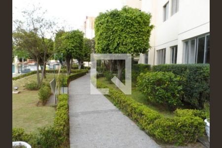 Apartamento à venda com 2 quartos, 53m² em Parque Maria Domitila, São Paulo