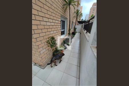 Apartamento à venda com 4 quartos, 322m² em Mooca, São Paulo