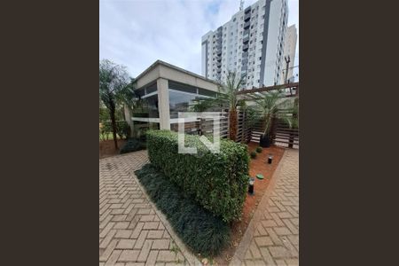 Apartamento à venda com 2 quartos, 50m² em Vila Antonieta, São Paulo