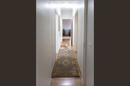 Corredor de apartamento à venda com 3 quartos, 110m² em Jardim Chapadão, Campinas