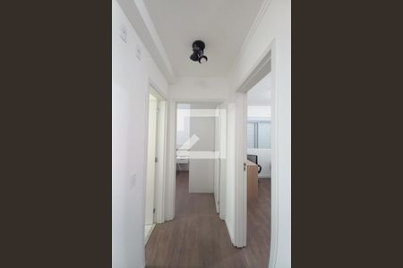 Corredor  de apartamento para alugar com 2 quartos, 47m² em Cidade Satélite Íris, Campinas