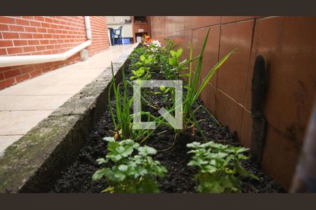 Jardim de casa para alugar com 3 quartos, 125m² em Canto do Forte, Praia Grande