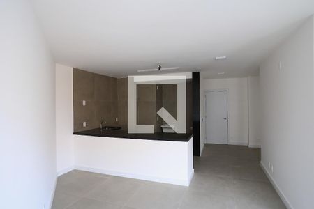 Sala/Cozinha de apartamento para alugar com 1 quarto, 55m² em Lourdes, Belo Horizonte