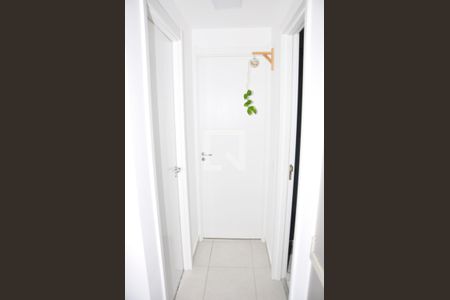 Corredor Quartos de apartamento para alugar com 2 quartos, 33m² em Piqueri, São Paulo