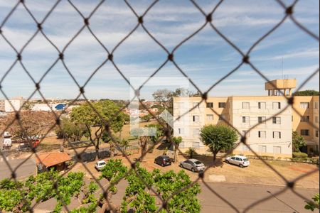 Vista do Quarto 1 de apartamento para alugar com 3 quartos, 70m² em Jardim do Vovô, Campinas