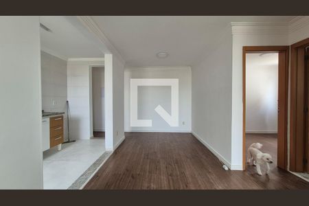 Sala/Cozinha de apartamento para alugar com 2 quartos, 55m² em Utinga, Santo André
