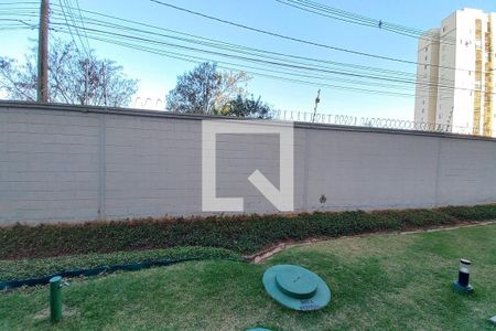 Vista do Quarto 1 de apartamento para alugar com 2 quartos, 45m² em Jardim Ipaussurama, Campinas