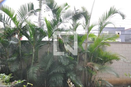 Vista da Sacada da Sala de apartamento à venda com 3 quartos, 67m² em Vila Guilherme, São Paulo