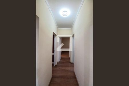 Corredor de apartamento para alugar com 3 quartos, 75m² em Jardim Campos Elíseos, Campinas